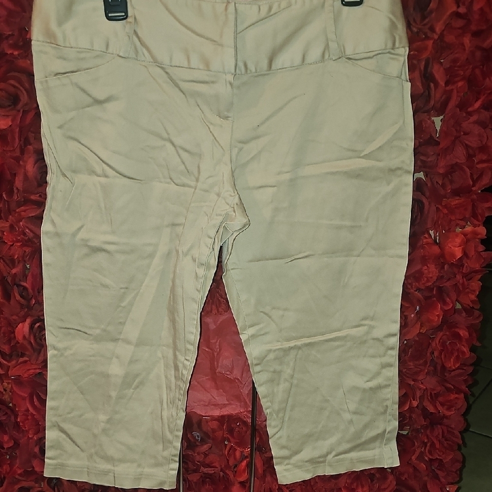 Wearever Junior's Tan Cropped Pants Size 13